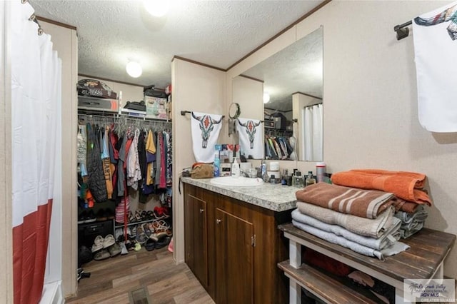 818 S 18th St, Alamo, TX 78516 - bathroom featuring vanity, a textured ceiling, a spacious closet, and wood finished floors