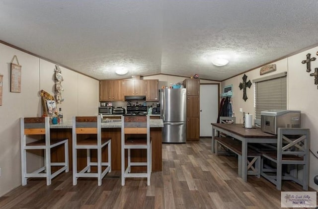 818 S 18th St, Alamo, TX 78516 - kitchen with a peninsula, stainless steel appliances, dark wood finished floors, under cabinet range hood, and vaulted ceiling