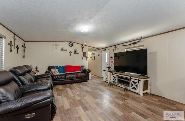 818 S 18th St, Alamo, TX 78516 - living room featuring light wood-style floors, lofted ceiling, ornamental molding, and a textured ceiling