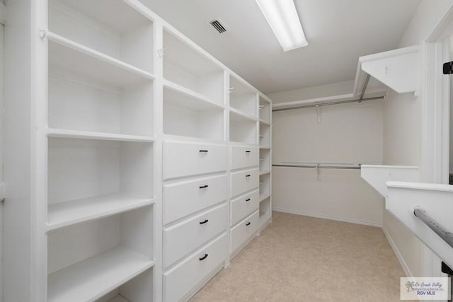 view of spacious closet