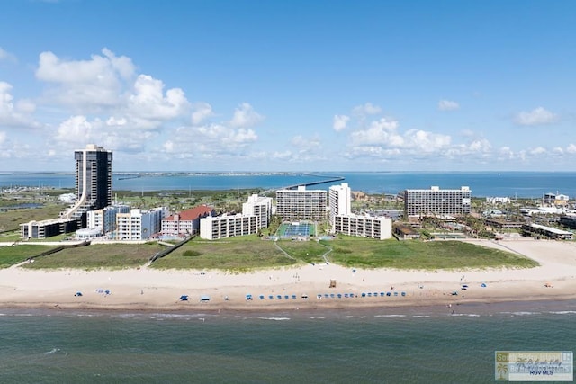 406 Padre Blvd Unit 207, South Padre Island, TX 78597 - aerial view of expansive coastline