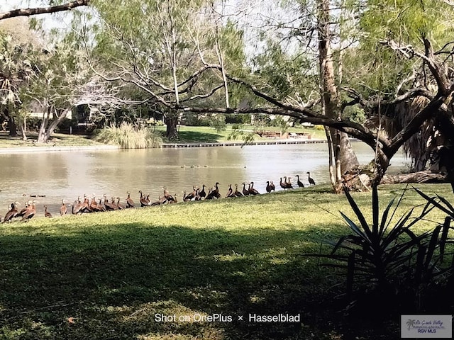 185 Poinciana Dr, Brownsville, TX 78521 - photo 64