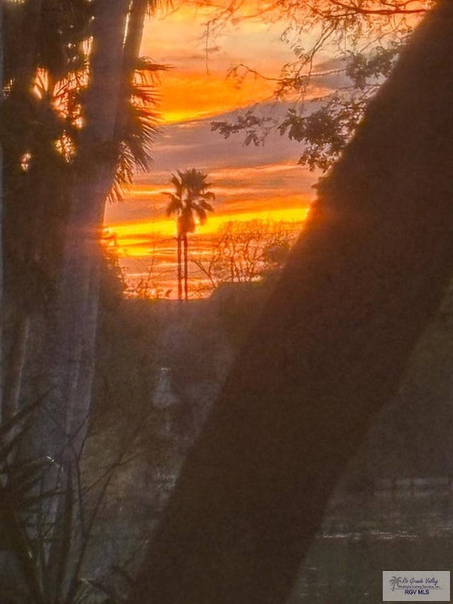 view of nature