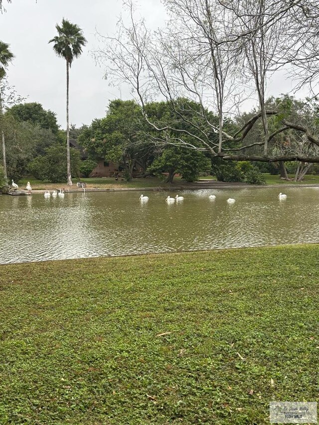 water view