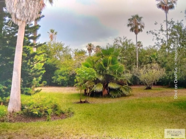 185 Poinciana Dr, Brownsville, TX 78521 - photo 62