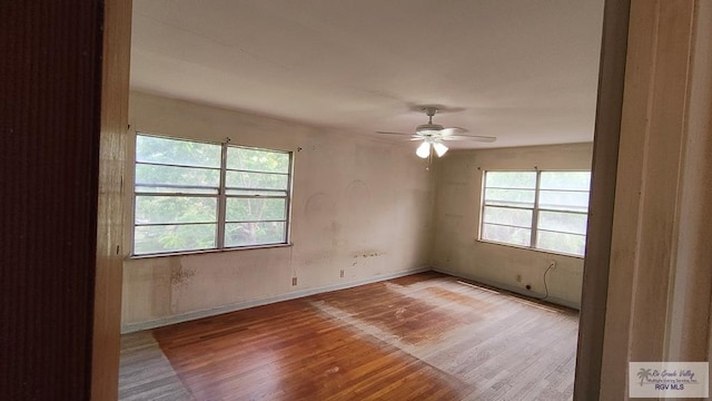 185 Poinciana Dr, Brownsville, TX 78521 - photo 26