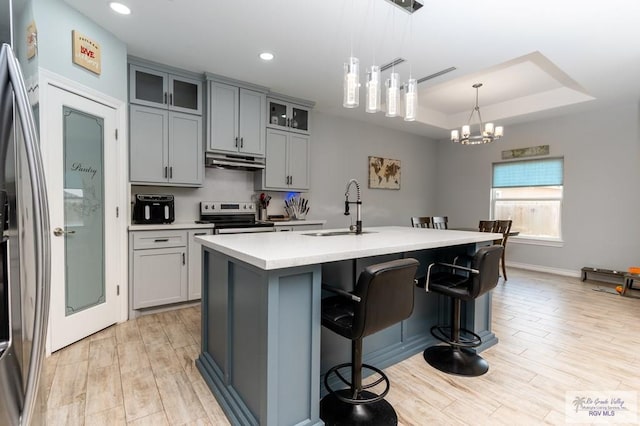 kitchen with a center island with sink, a raised ceiling, sink, appliances with stainless steel finishes, and decorative light fixtures