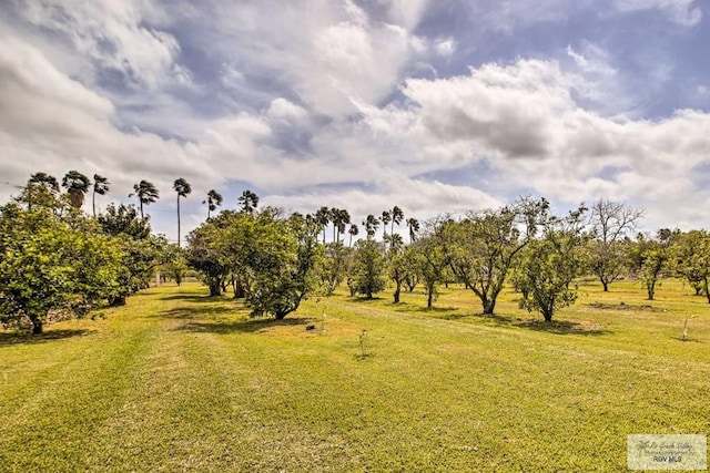 view of yard with a rural view