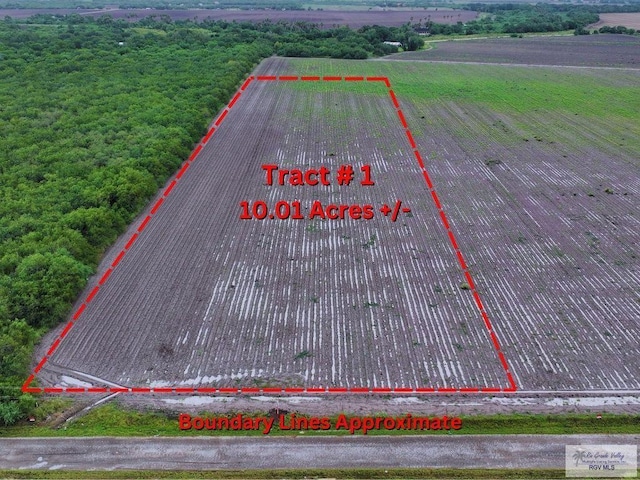 TBD E Joines Rd # 1, San Benito, TX 78586