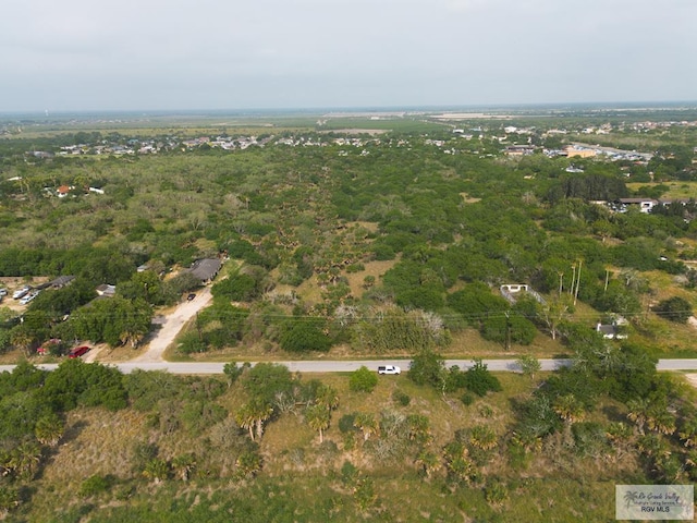 4390 Paloma Blanca Dr, Brownsville TX, 78521 land for sale