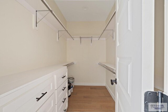 32773 Jorge St, Los Fresnos, TX 78566 - walk in closet with light wood-style floors