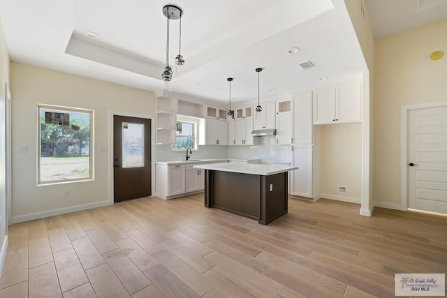 32773 Jorge St, Los Fresnos, TX 78566 - kitchen with open shelves, a sink, light wood-style flooring, under cabinet range hood, and a kitchen island