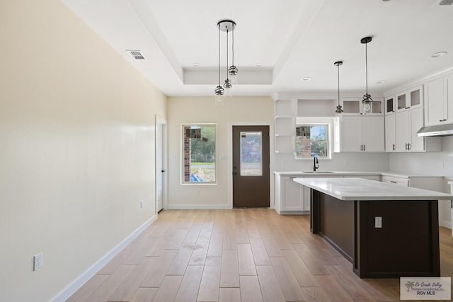 32773 Jorge St, Los Fresnos, TX 78566 - kitchen featuring light wood finished floors, a tray ceiling, visible vents, a sink, and baseboards