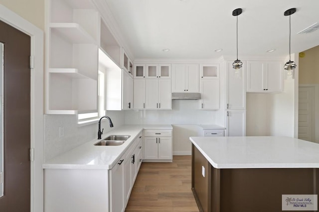 32773 Jorge St, Los Fresnos, TX 78566 - kitchen featuring light wood-style flooring, a sink, white cabinetry, glass insert cabinets, and under cabinet range hood