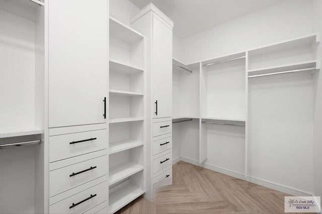 view of walk in closet