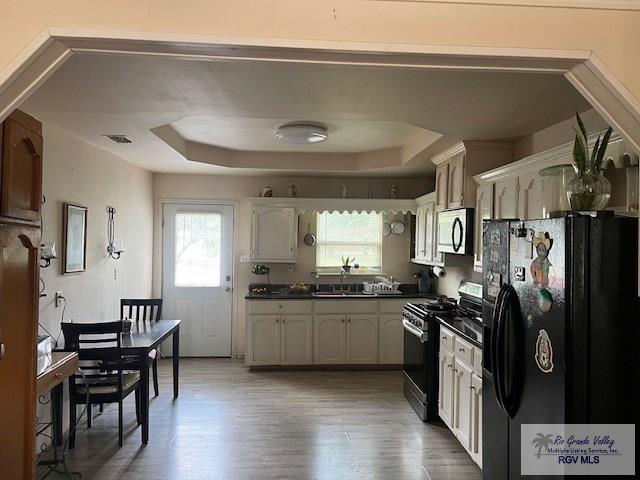 kitchen with hardwood / wood-style floors, a raised ceiling, sink, and appliances with stainless steel finishes