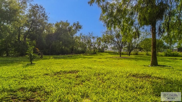 171 Line 17 Rd, San Benito, TX 78586 - view of yard