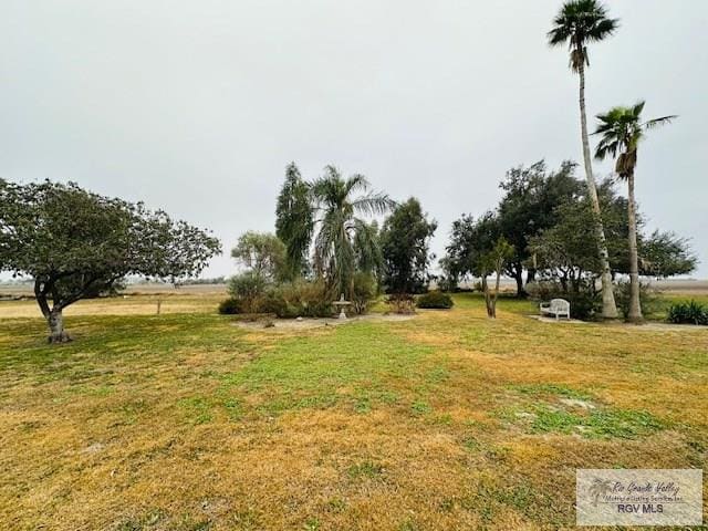 view of yard with a rural view