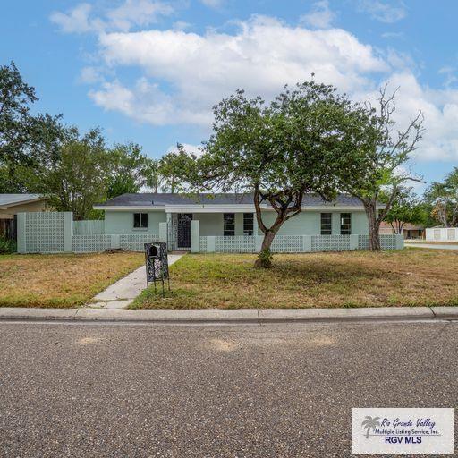 1802 High St, Harlingen, TX 78550 - view of ranch-style house