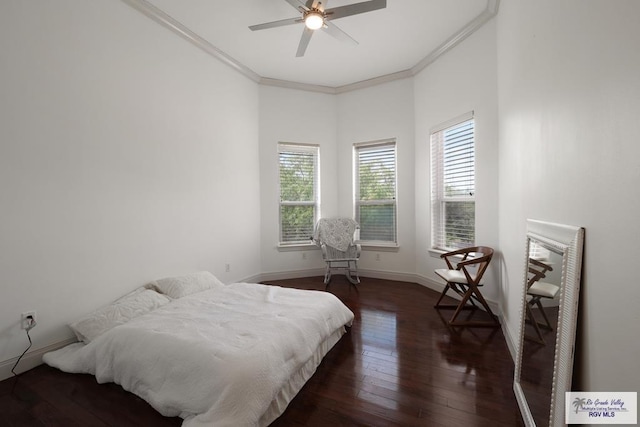 142 Chachalaca, San Benito, TX 78586 - photo 21