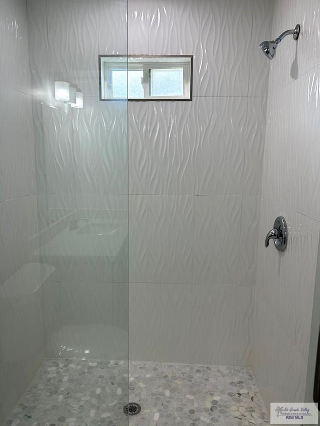 full bath with a walk in shower