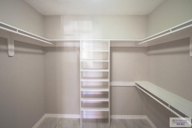 23919 Ellie Ln, Harlingen, TX 78552 - view of spacious closet