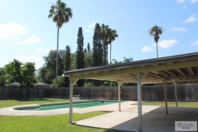 1725 Peach Tree Ct, Harlingen, TX 78550 - view of swimming pool with a patio area
