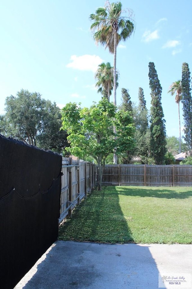 1725 Peach Tree Ct, Harlingen, TX 78550 - view of yard featuring a patio