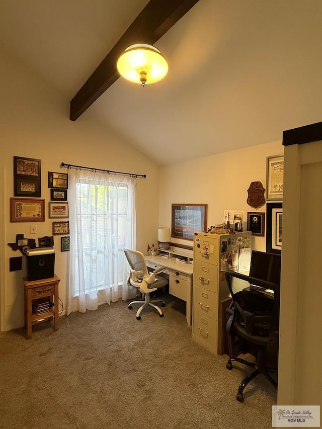 95 Poinciana Dr Unit 227, Brownsville, TX 78521 - photo 12