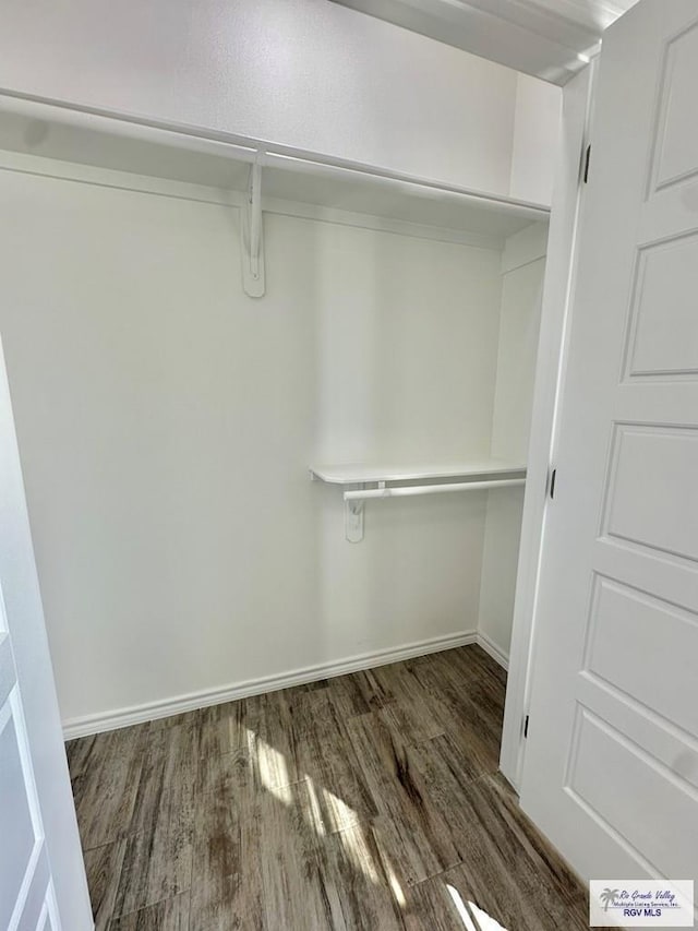 walk in closet featuring dark hardwood / wood-style flooring