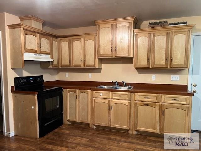 1327 W Johnson Ave, Harlingen, TX 78550 - kitchen featuring black electric range, under cabinet range hood, a sink, dark countertops, and dark wood-style floors