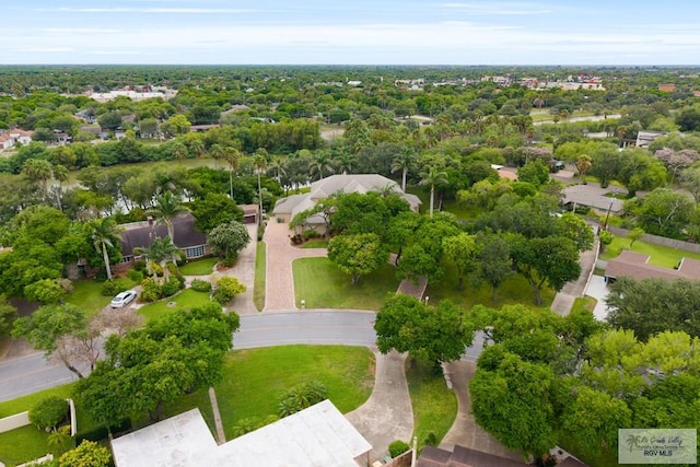 245 Calle Jacaranda, Brownsville, TX 78520 - photo 65