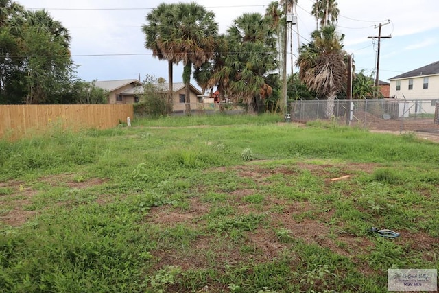 13953 Isaiah Ct, La Feria, TX 78559 - view of yard