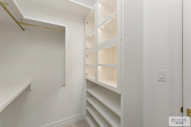 5407 Common Ln, Weslaco, TX 78596 - view of spacious closet