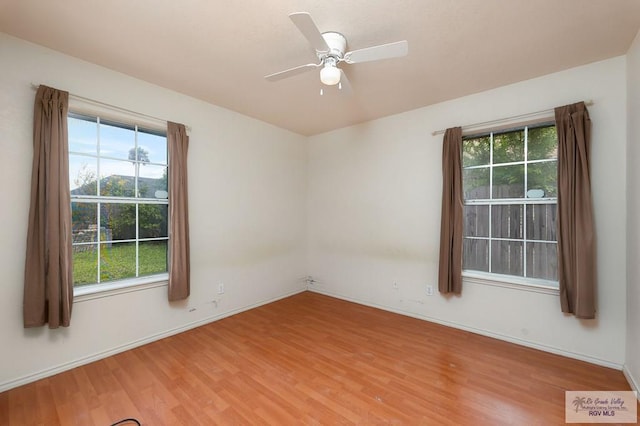 1415 Alta Mesa Blvd, Brownsville, TX 78526 - photo 11