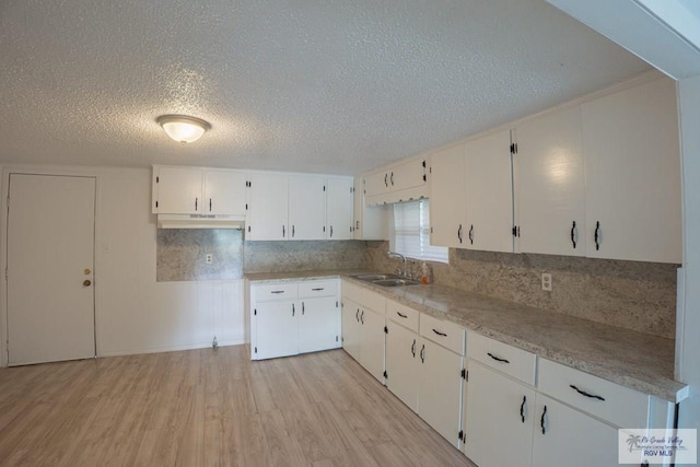 802 California St, Harlingen, TX 78552 - kitchen with a sink, under cabinet range hood, light wood-style floors, tasteful backsplash, and a textured ceiling