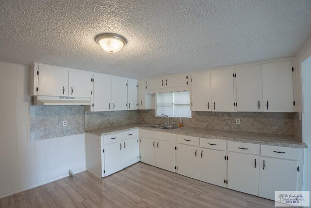 802 California St, Harlingen, TX 78552 - kitchen featuring a textured ceiling, decorative backsplash, light wood-style flooring, light countertops, and under cabinet range hood