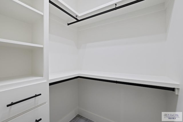 119 Finch Dr, Los Fresnos, TX 78566 - view of spacious closet