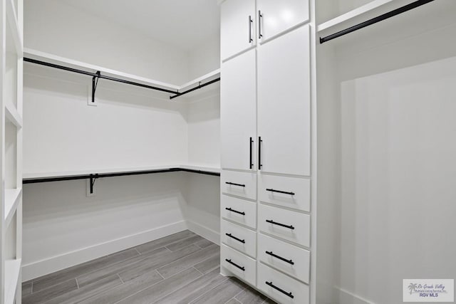 119 Finch Dr, Los Fresnos, TX 78566 - walk in closet featuring light wood-type flooring