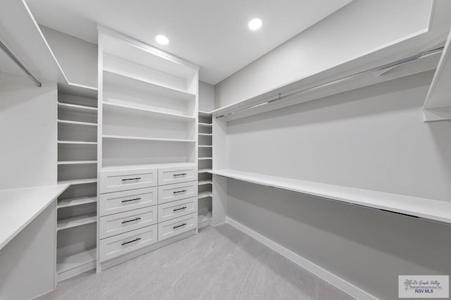 view of spacious closet