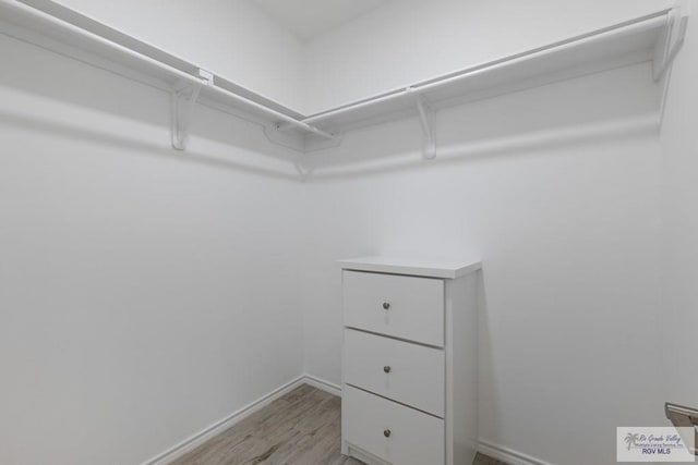 spacious closet with light wood-type flooring