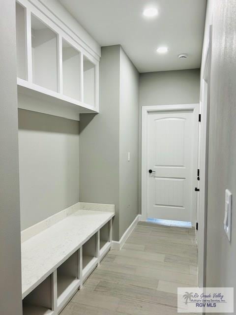 521 Valley Oak Cir, Los Fresnos, TX 78566 - mudroom with light wood finished floors, baseboards, and recessed lighting