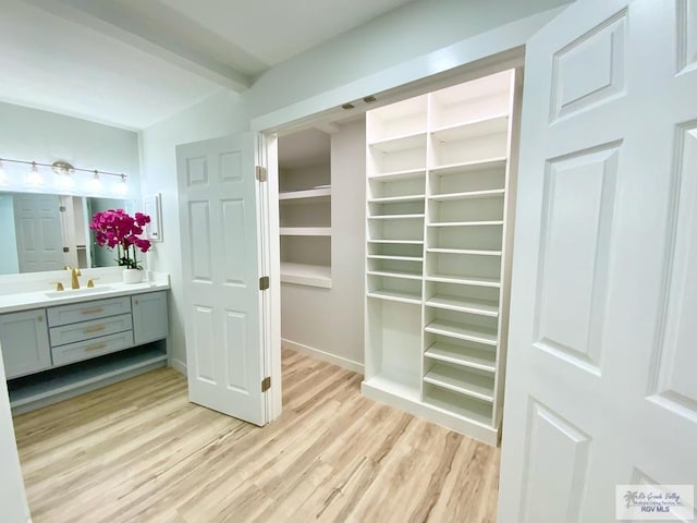 closet featuring a sink