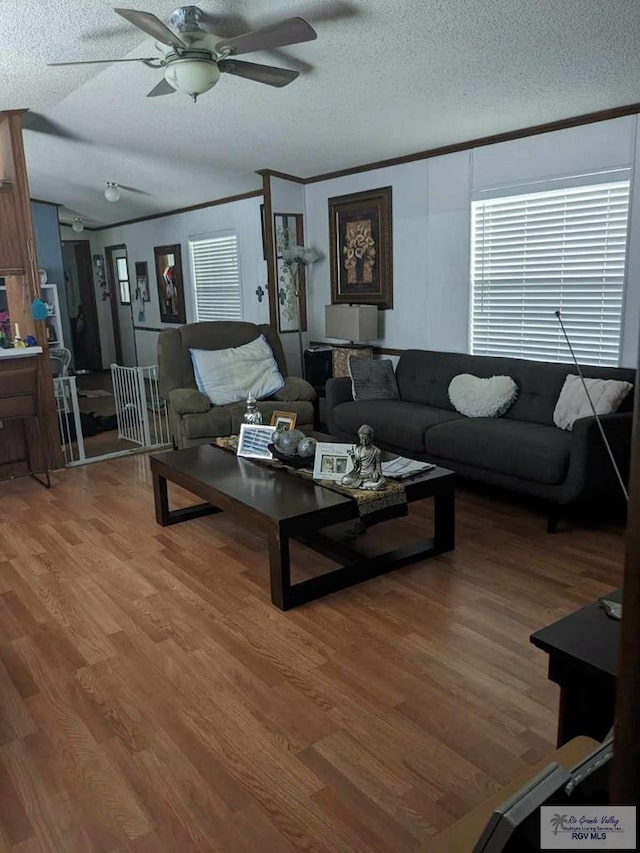 living room with hardwood / wood-style flooring, ceiling fan, and a textured ceiling