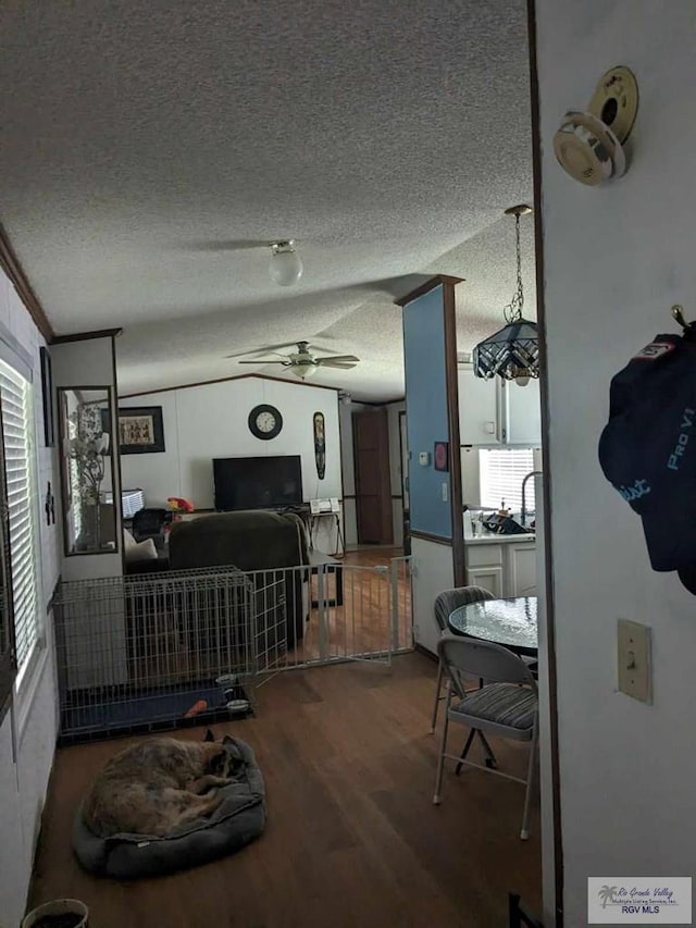 living room featuring hardwood / wood-style floors, ceiling fan, and a textured ceiling