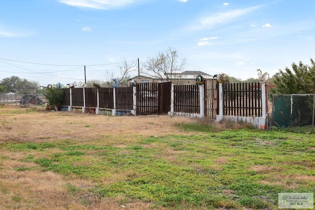 view of yard