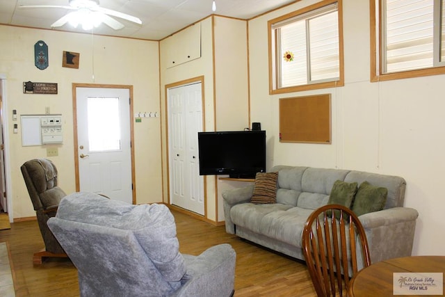 living room featuring ceiling fan and light wood-type flooring