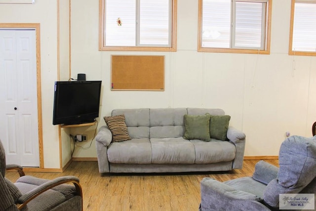 living room featuring light hardwood / wood-style flooring