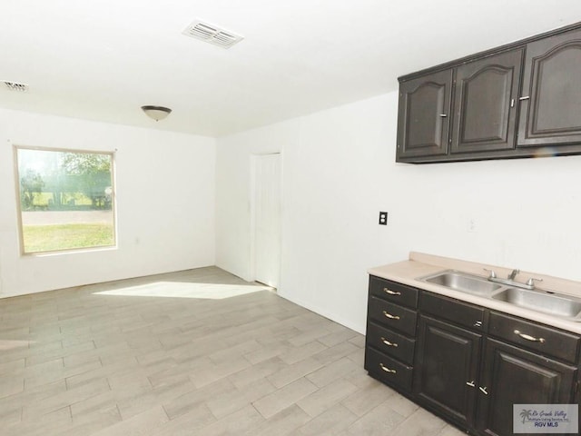 kitchen with dark brown cabinets, light hardwood / wood-style floors, and sink