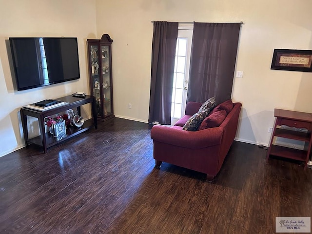 living room with dark hardwood / wood-style flooring